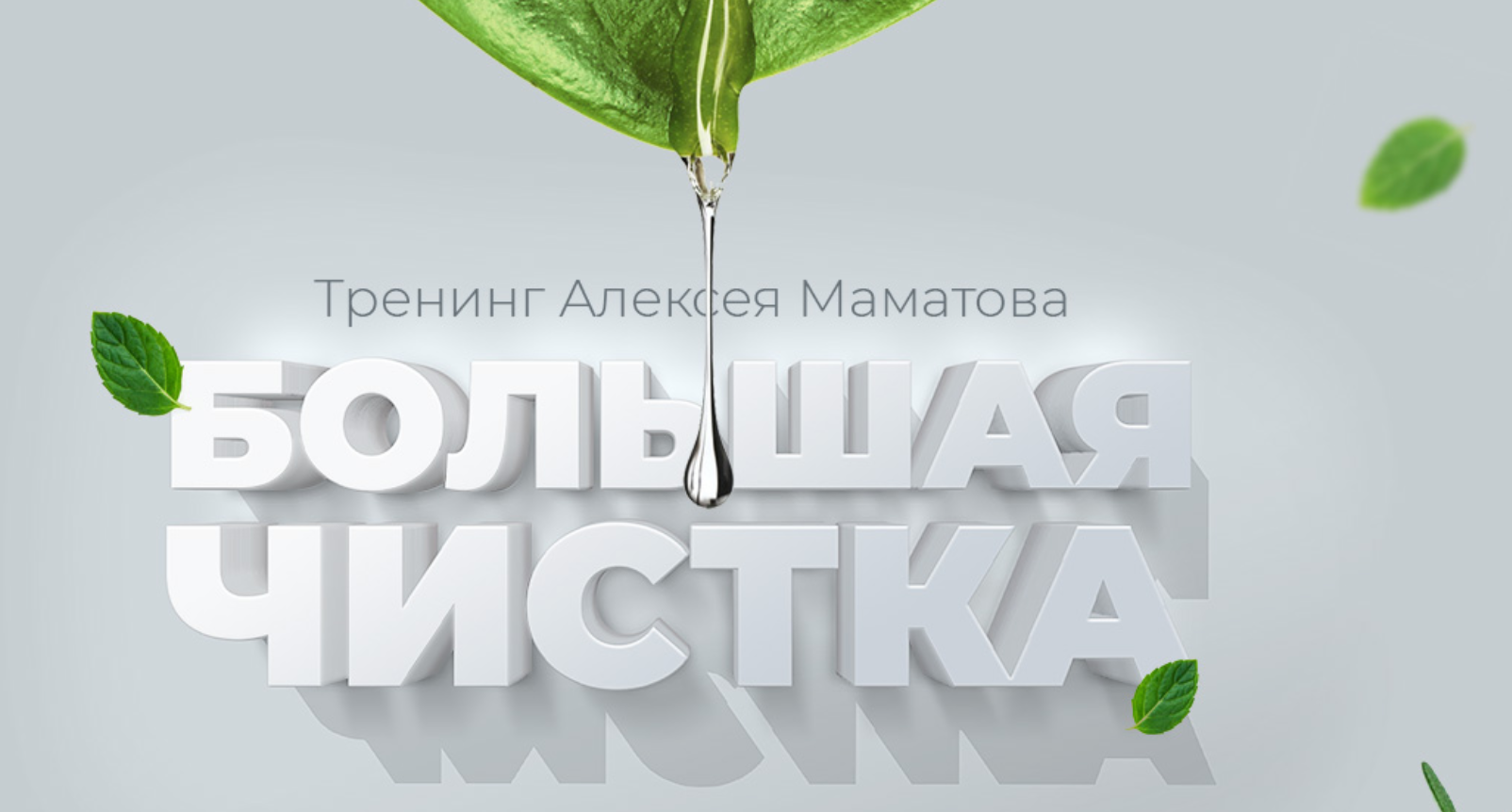 [Алексей Маматов] Тренинг Большая чистка (2018)_0.png